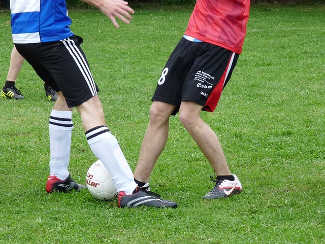 她的肌肉曲 她的肌肉曲