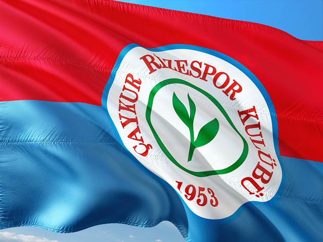 球队整体实 球队整体实