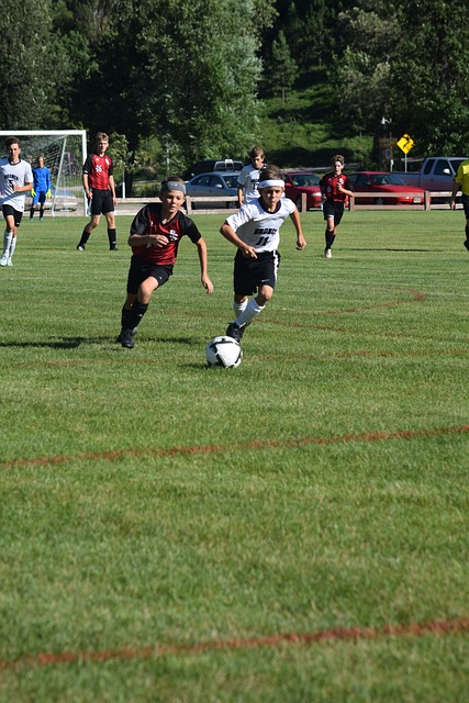 他们能否在 他们能否在