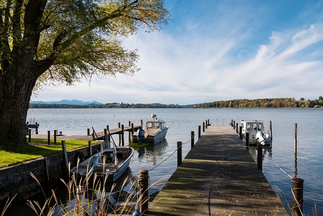 二者形成鲜 二者形成鲜